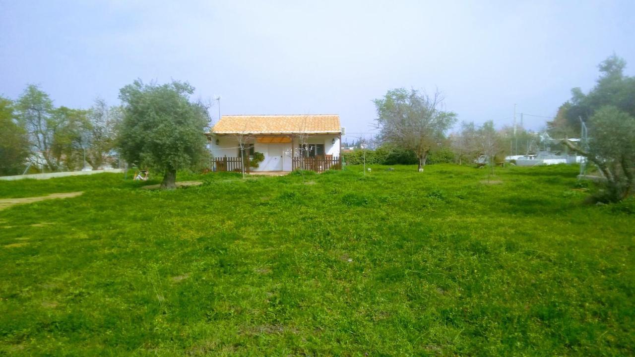 Casa De Campo Los Manueles Ideal Perros Pet Friendly Gojar エクステリア 写真