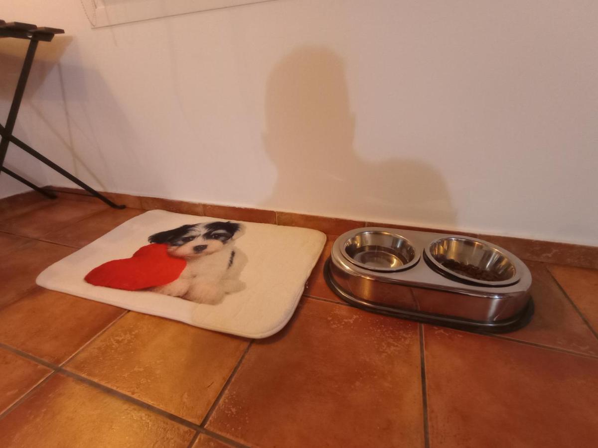 Casa De Campo Los Manueles Ideal Perros Pet Friendly Gojar エクステリア 写真