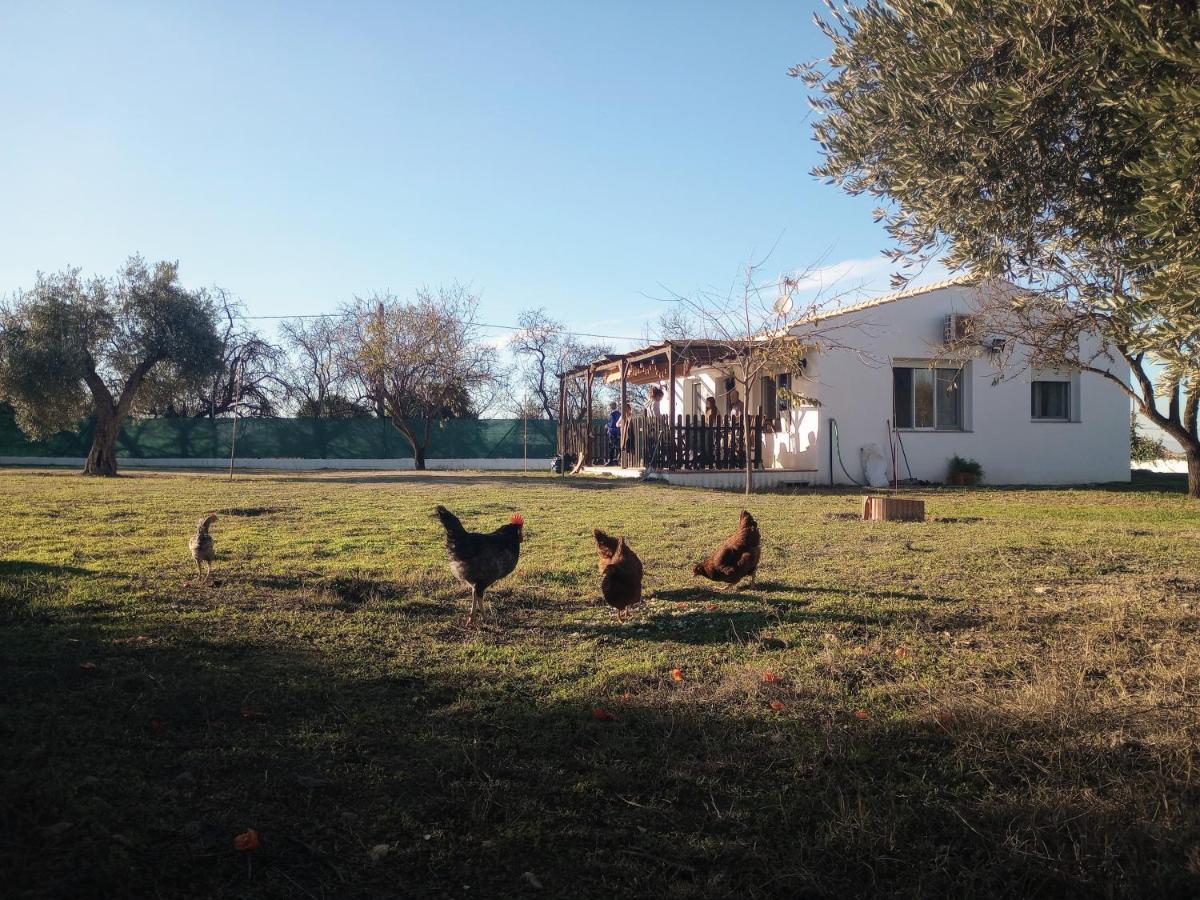 Casa De Campo Los Manueles Ideal Perros Pet Friendly Gojar エクステリア 写真