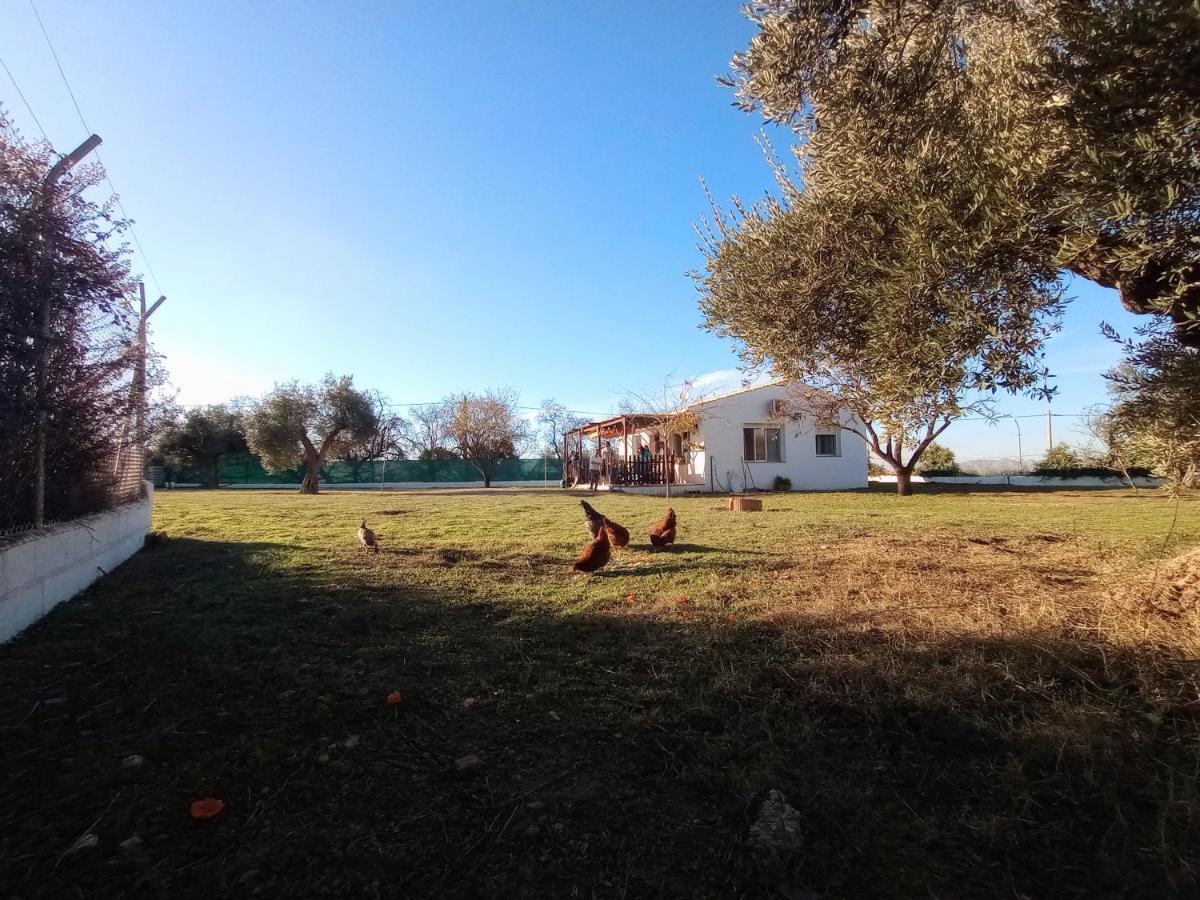 Casa De Campo Los Manueles Ideal Perros Pet Friendly Gojar エクステリア 写真