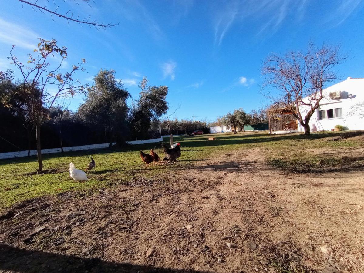 Casa De Campo Los Manueles Ideal Perros Pet Friendly Gojar エクステリア 写真