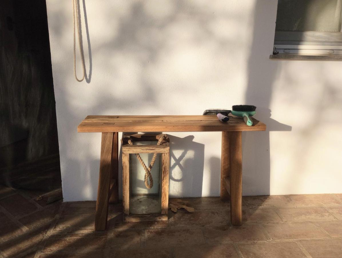 Casa De Campo Los Manueles Ideal Perros Pet Friendly Gojar エクステリア 写真