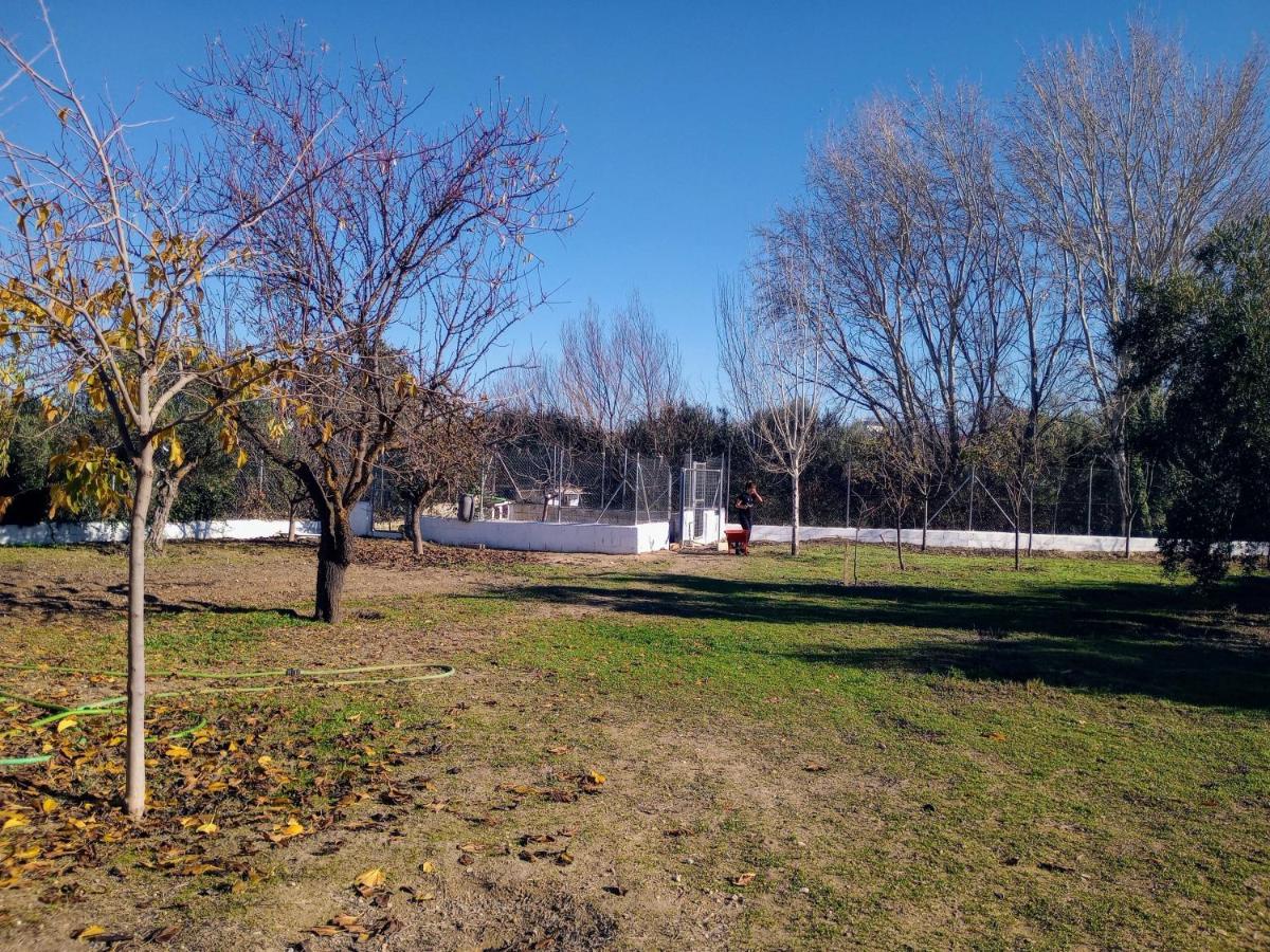Casa De Campo Los Manueles Ideal Perros Pet Friendly Gojar エクステリア 写真
