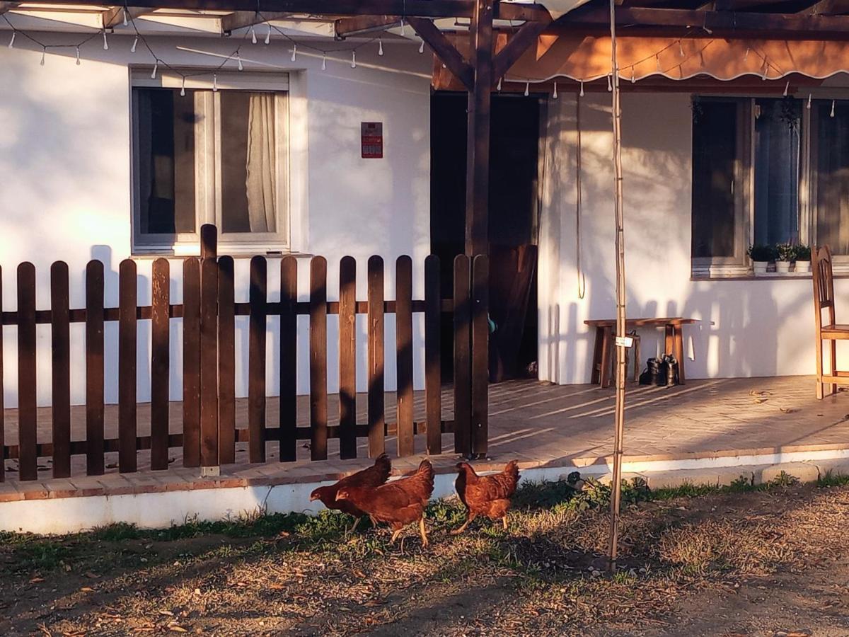 Casa De Campo Los Manueles Ideal Perros Pet Friendly Gojar エクステリア 写真