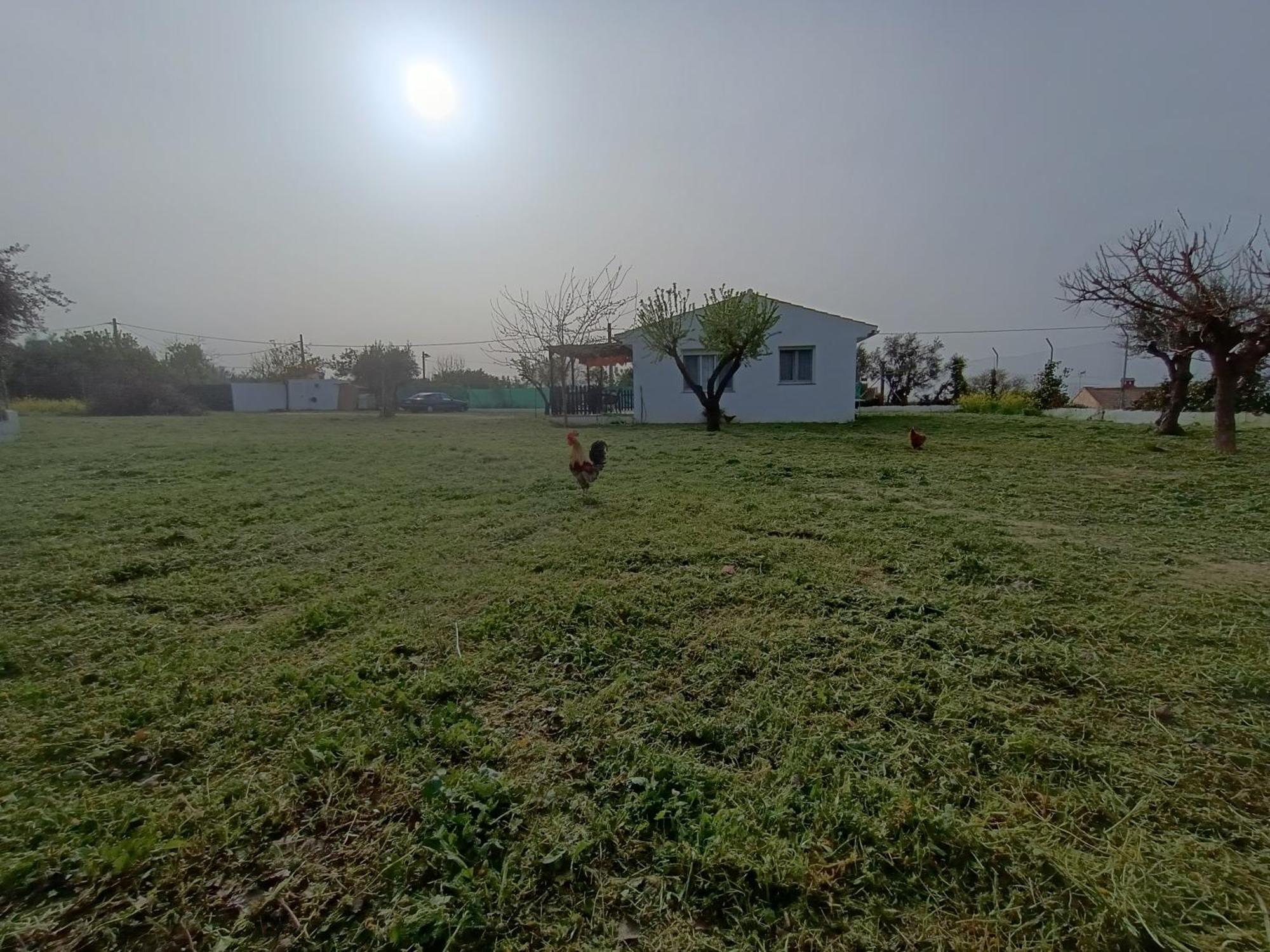 Casa De Campo Los Manueles Ideal Perros Pet Friendly Gojar エクステリア 写真