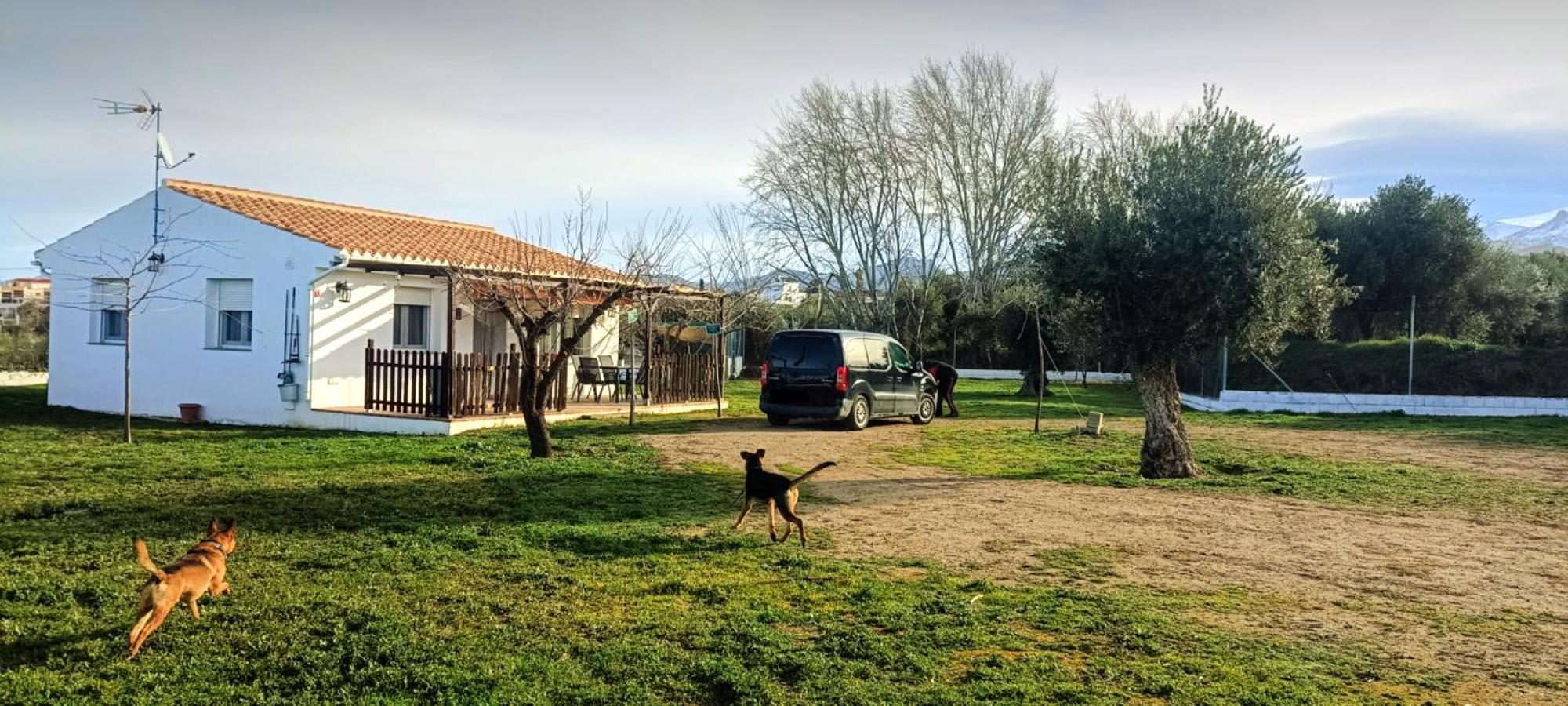 Casa De Campo Los Manueles Ideal Perros Pet Friendly Gojar エクステリア 写真